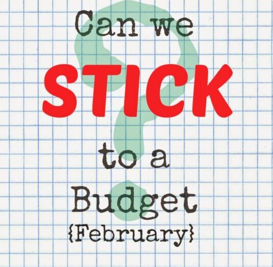 Living on a Budget: February Edition